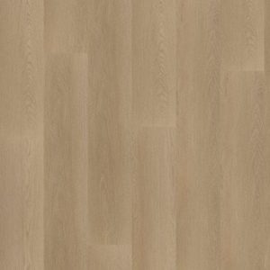 Hoomline Ambassador 55 Georgia PVC