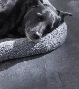 Madison Square Aqua Donkergrijs 6394