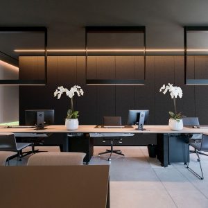 Akoestisch Pet Paneel Noir 12 mm