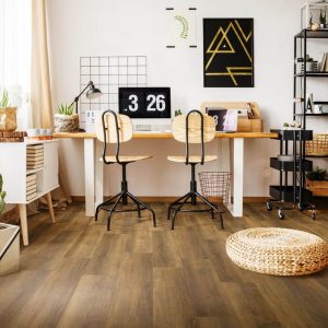 Gelasta City 4602 (dryback) Pluto Natural