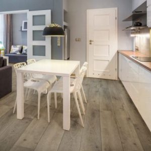 Gelasta Rigid Core XL Register Callisto Smoked 8903