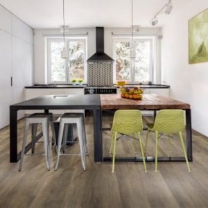 Gelasta Rigid Core XL Pluto Smoked Light Click 8712