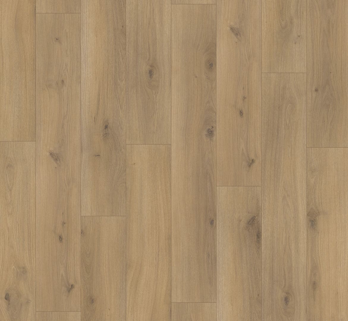 Parador Eiken Horizont Natuur Basic 200 Landhuisvl. - Afbeelding 3