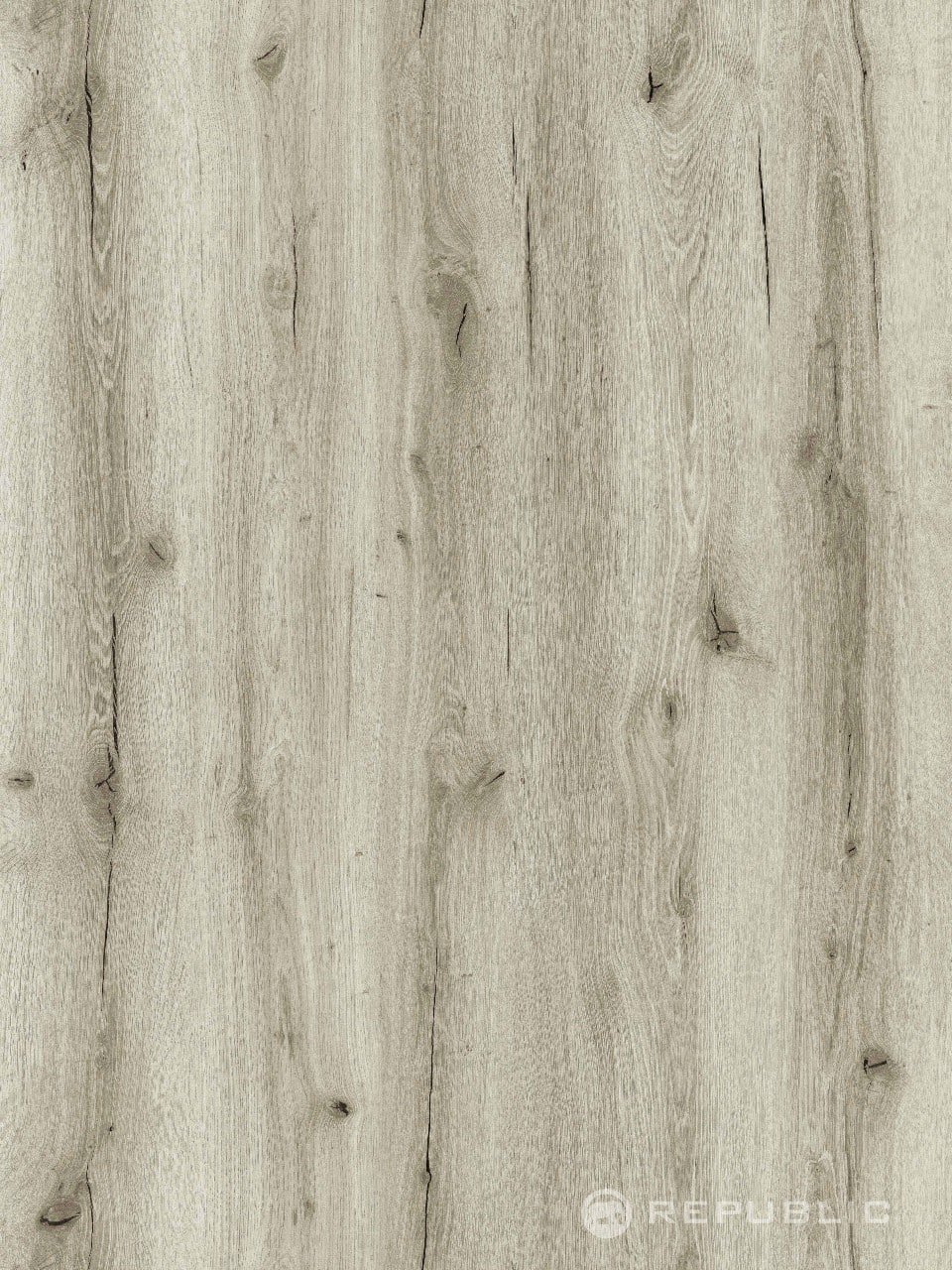 Bigger5 RIGID SPC Crocodille 50 Boss