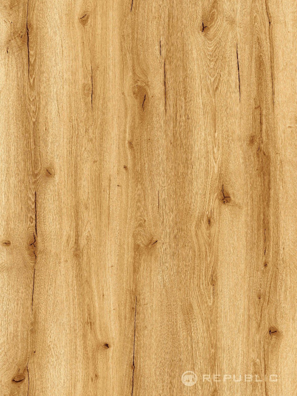 Bigger5 RIGID SPC Crocodille 50 Bump