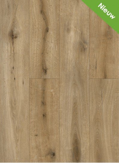 Gelasta Callisto Natural Oak Dryback 4102 - Afbeelding 3