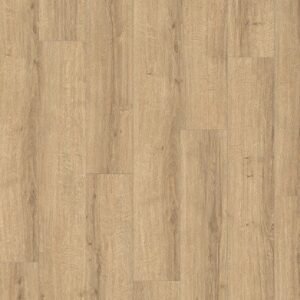 Alternative view of Large vgroef 8mm 204 Sherman Eiken Lichtbruin