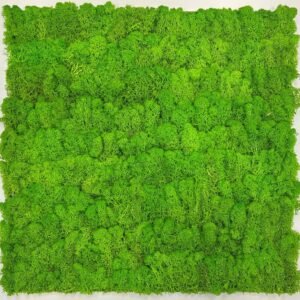 Alternative view of NIEUW! Akoestisch Wandpaneel Mos Helder Groen