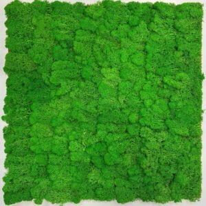 Alternative view of NIEUW! Akoestisch Wandpaneel Mos Rijk Groen