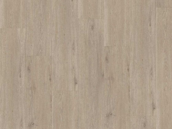 Belakos Rustico 0,55 Dryback 60 - Afbeelding 3