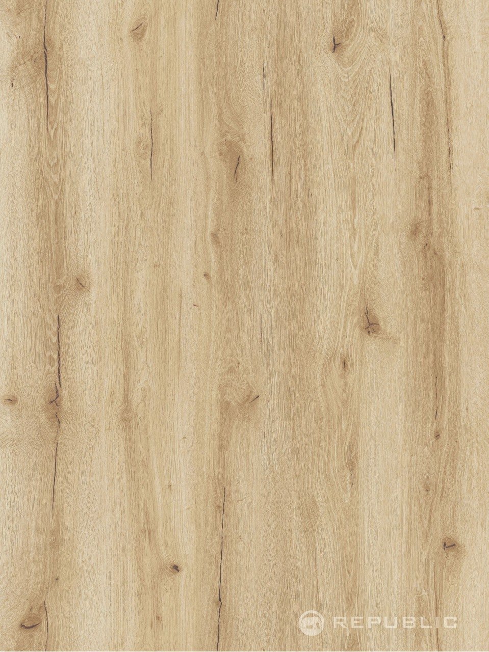 Bigger5 RIGID SPC Crocodille 50 Thrift